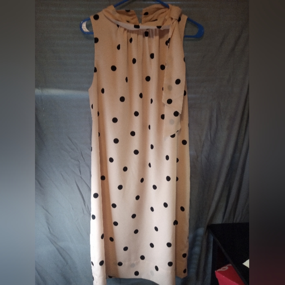 Ann Taylor Polka Dot Sleeveless Plus Size Linen Dress